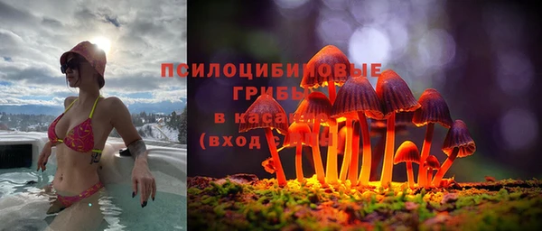кокс Богородск