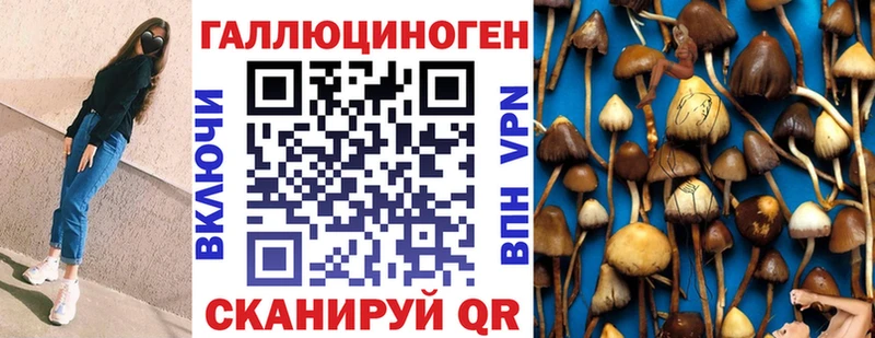 купить закладку  Всеволожск  кракен рабочий сайт  Галлюциногенные грибы Psilocybine cubensis 