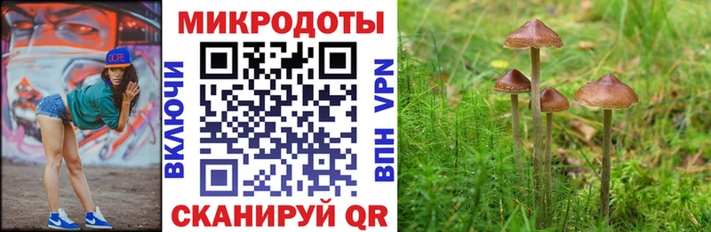 Галлюциногенные грибы мухоморы Всеволожск